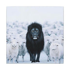 Lion Amongst Sheep