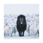 Lion Amongst Sheep