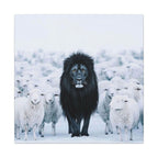 Lion Amongst Sheep