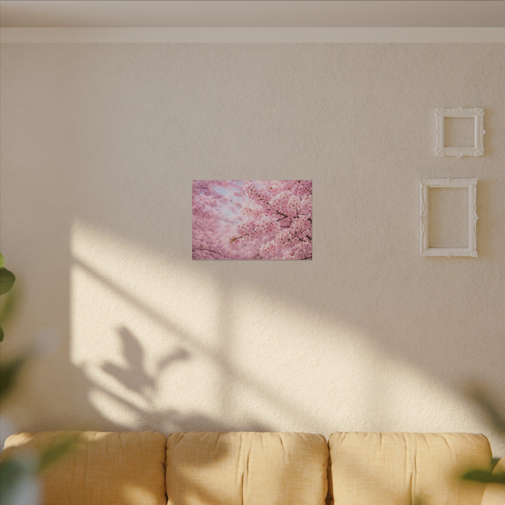 Cherry Blossoms