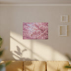 Cherry Blossoms