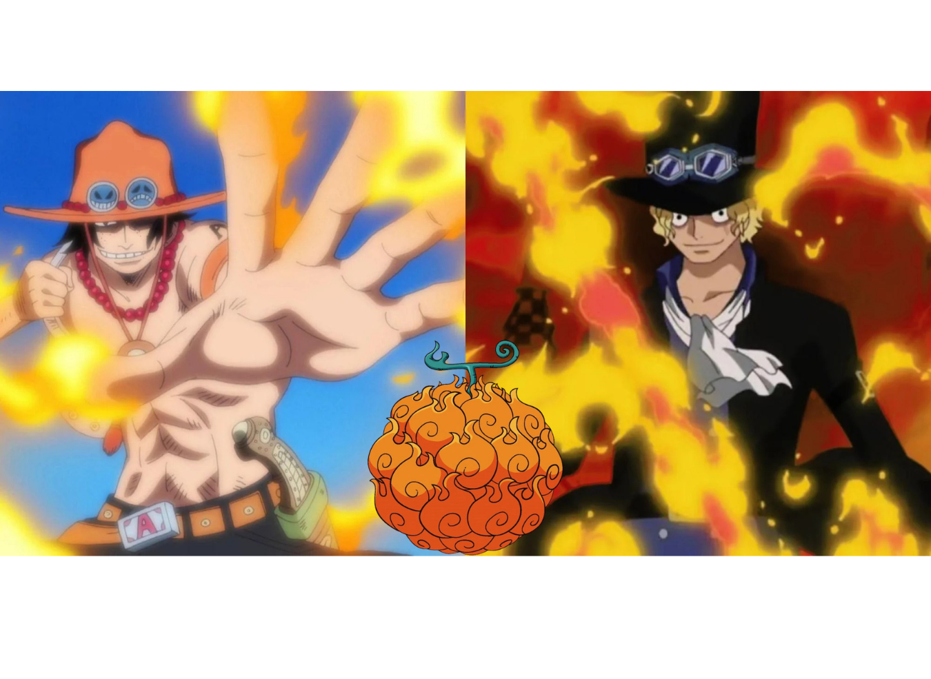 One Piece Devil Fruit Mera Mera No Mi (Flame flame Fruit) Portgas .D. Ace